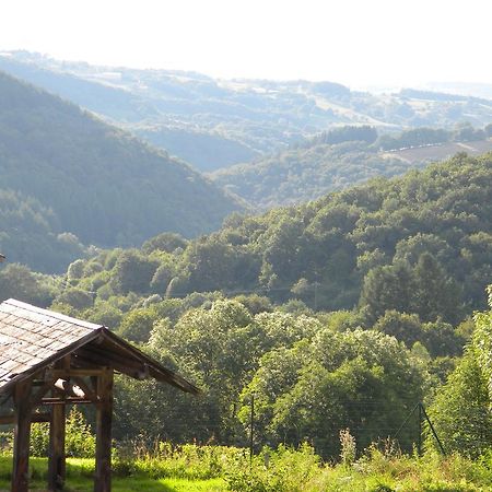 Domaine Du Randier Villa Ferrières-sur-Sichon Exteriör bild