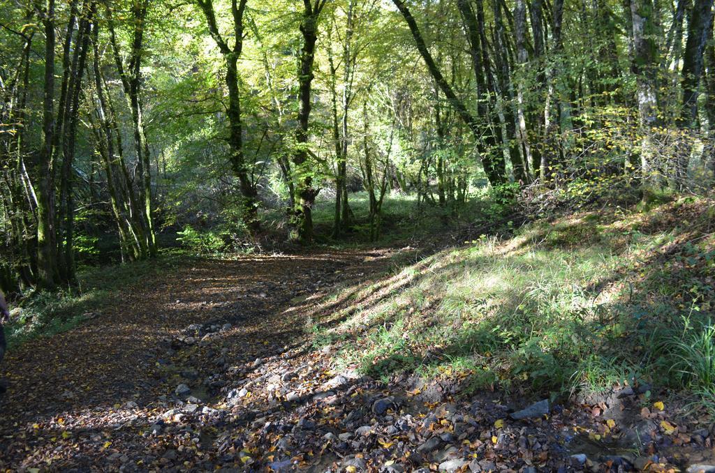 Domaine Du Randier Villa Ferrières-sur-Sichon Exteriör bild