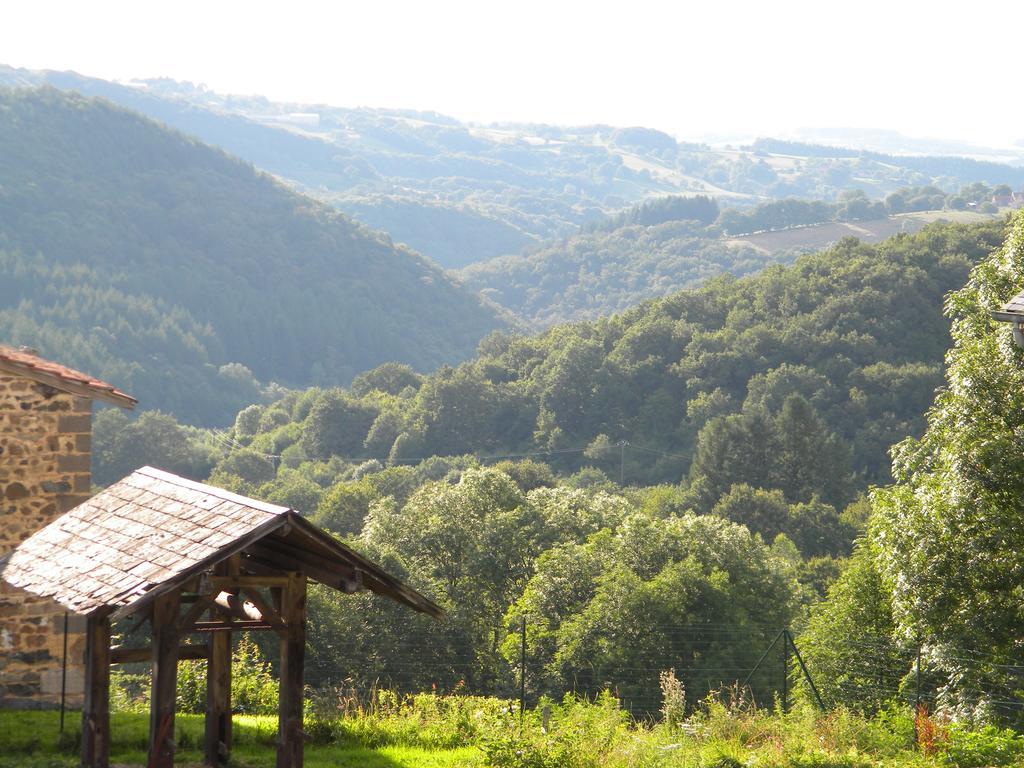 Domaine Du Randier Villa Ferrières-sur-Sichon Exteriör bild